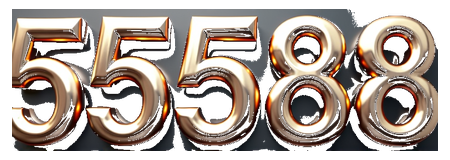 55588 logo